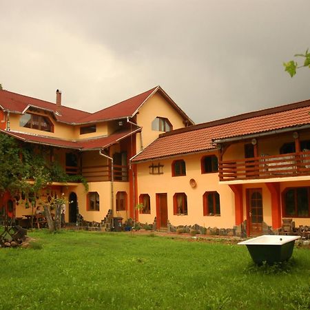 Arts And Crafts Guesthouse Felsőbánya Kültér fotó