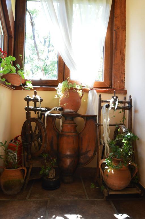 Arts And Crafts Guesthouse Felsőbánya Kültér fotó